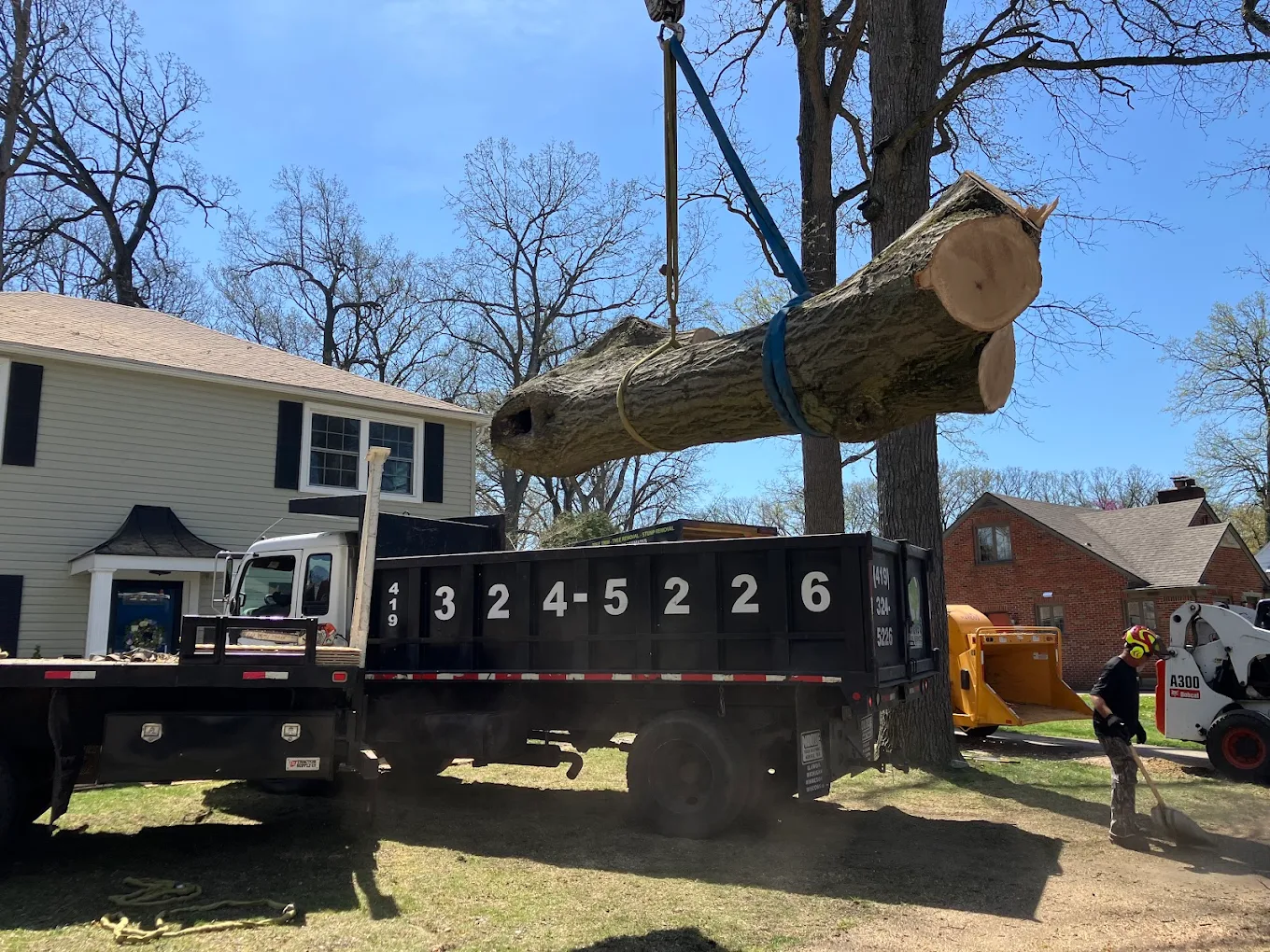 Steve's Tree Services